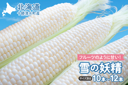 [2025年8月〜発送開始!]北海道十勝清水町産 希少品種! 白いとうもろこし 雪の妖精 サイズ混合 10〜12本 [北海道産 2025年 とうもろこし とうきび 産直 産地直送 清水町 北海道 ]
