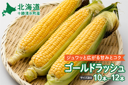 [2025年8月〜発送開始!]北海道十勝清水町産 黄金の甘さ ゴールドラッシュ!サイズ混合 10〜12本 [北海道産 2025年 とうもろこし とうきび 産直 産地直送 清水町 北海道 ]