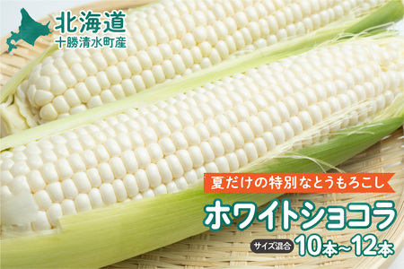 [2025年8月〜発送開始!]北海道十勝清水町産 白いとうもろこし ホワイトショコラ サイズ混合 10〜12本 北海道産 2025年 とうもろこし とうきび 産直 産地直送 清水町 北海道 