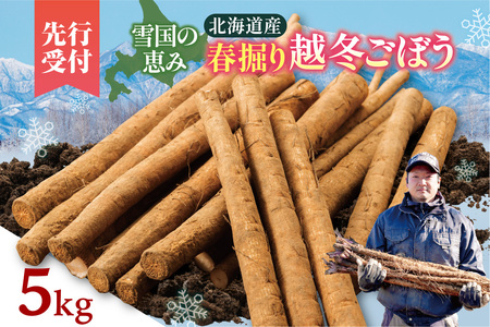 北海道十勝清水町産 越冬ごぼう 5kg[2026年春発送予定]牛蒡 ゴボウ