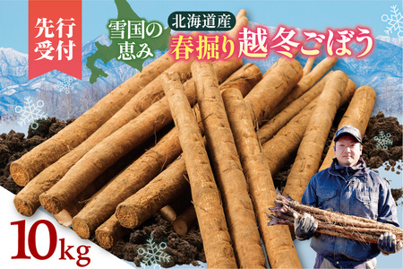 �k�C���\���������Y �z�~���ڂ� 10kg�y2026�N�t�����\��z���� �S�{�E