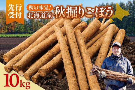 kC\Y Hx育ڂ 10kgy2026NH\z S{E