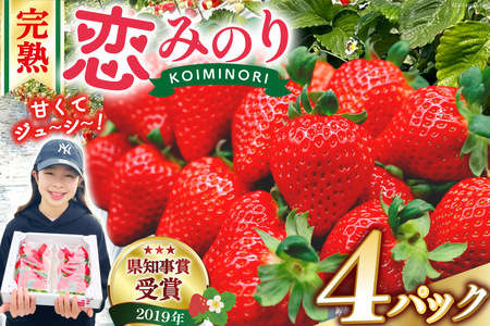 [期間限定発送] いちご 恋みのり 1kg 以上 4パック [キチ・フィールド 長崎県 雲仙市 item1850] イチゴ 苺 フルーツ 果物 期間限定 季節限定 先行予約