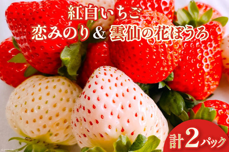 [期間限定発送] いちご 紅白いちごセット 「恋みのり」 「雲仙の花ぼうろ」 計2パック [トトノウ 長崎県 雲仙市 item1416] 苺 イチゴ 2パック 赤 白 フルーツ 果物 くだもの 期間限定 季節限定 セット 食べ比べ