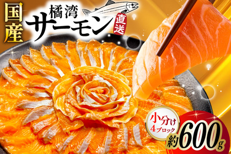 kpY T[ hg 4ubN (  600g ) [Vm 茧 _s item1904] ݗp  hg hg  CN  CN   Y