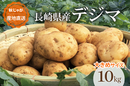 yԌ蔭z Ⴊ Ȃ񂮂fW} H 10kg 傫߃TCY [Ȃ񂮂fW}vWFNg`[ 茧 _s item1911] WKC  HႪ HႪ 10L Ԍ