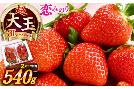 大玉限定! いちご 恋みのり 約540g 270g 2パック 3L サイズ以上 [長崎県農産品流通 長崎県 雲仙市 item2033] イチゴ 苺 フルーツ 果物 季節限定