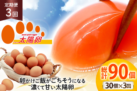 定期便 3回 卵 太陽卵 10個入 3パック 総計90個 [落水正商店 長崎県 雲仙市 item2158] たまご タマゴ 鶏卵 玉子 生卵 九州産 国産 卵焼き 玉子焼き たまご焼き