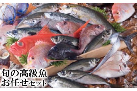 旬の高級魚お任せセット / 田中鮮魚店 / 長崎県雲仙市