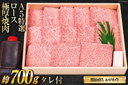 _炿 틍 A5N̂ I[X Ɍ ē [ ē 茧 _s item2107]   a