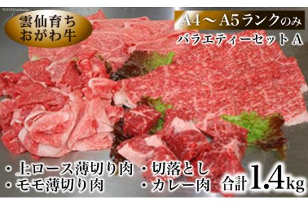 カレー肉の返礼品 検索結果 | ふるさと納税サイト「ふるなび」