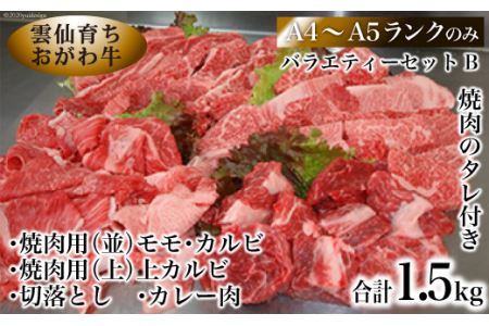 カレー肉の返礼品 検索結果 | ふるさと納税サイト「ふるなび」