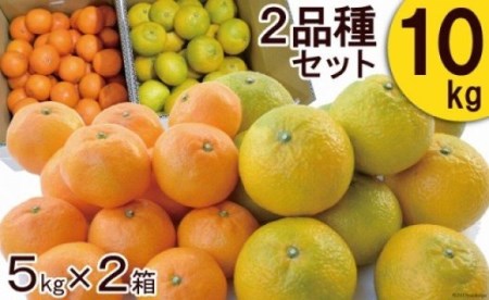 【期間限定発送】 みかん 柑橘詰合せセット 2種類（5kg×2箱）計10kg [森崎果樹園 長崎県 雲仙市 item1342] みかん 10kg 果物 フルーツ 詰め合わせ セット 10キロ 期間限定