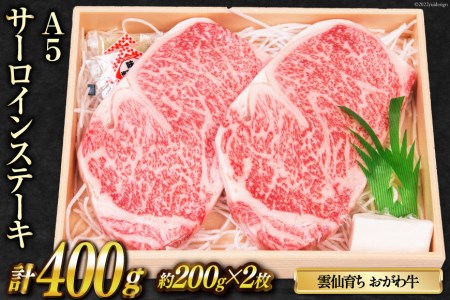 雲仙育ち おがわ牛 A5 サーロインステーキ2枚 計400g [焼肉おがわ 長崎県 雲仙市 item1596] ステーキ 黒毛和牛 冷凍