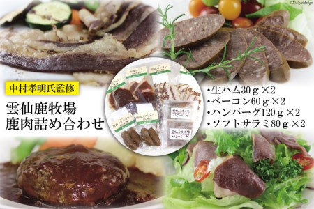 鹿肉 詰め合わせ 4種類×2セット 生ハム ベーコン ハンバーグ ソフトサラミ [ディアー・カンパニー 長崎県 雲仙市 item1513] ジビエ 鹿 シカ肉 しか肉