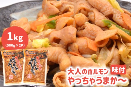 t l̃z Ⴄ܂` 500g×2p v 1kg  [pbvEUEZJhR[|[V 茧 _s item1801] z ē  t