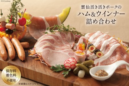 詰め合わせ 生ハムスライス 100g×2 ロースハムスライス 100g×2 ハーブウインナー 80g×1 計480g [プレミア・ニュー長崎 長崎県 雲仙市 item1802] ハム ウィンナー 生ハム スライスハム