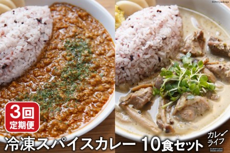 [3回定期便]冷凍スパイスカレー10食セット[カレーライフ][長崎県雲仙市]