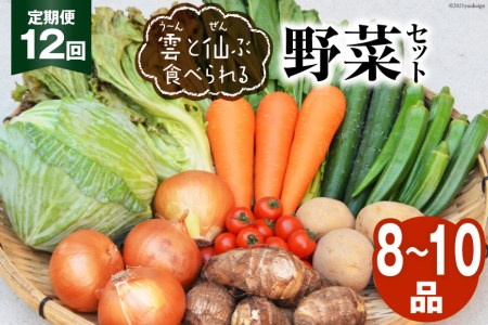 【定期便12回】雲（う～ん）と仙（ぜん）ぶ食べられる野菜セット（8～10品）＜肥前グローカル＞【長崎県雲仙市】