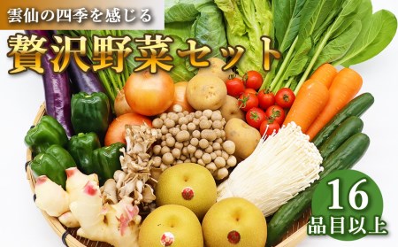 贅沢 野菜 セット どっさり 16品目以上 季節の野菜 フルーツ キノコ 詰め合わせ [吉岡青果 長崎県 雲仙市 item1269]