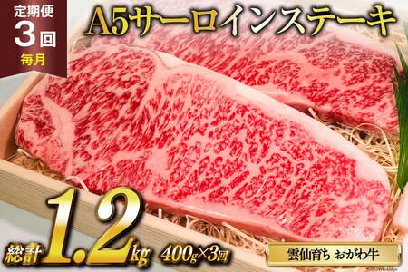  3  _炿 틍 A5 T[CXe[L v1.2kg(400g×3) [ē 茧 _s item2110] Xe[L јa Ⓚ
