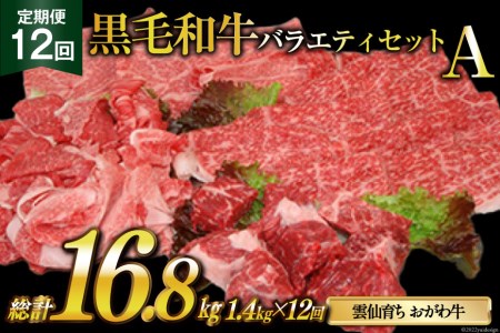 12  _炿 틍 oGeB[ZbgA v16.8kg(1.4kg×12) [ē 茧 _s item2127] јa ネ[X  ؗƂ XCX ؂ Ⓚ