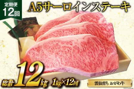 定期便 12回 牛肉 雲仙育ち おがわ牛 A5 サーロインステーキ 総計12kg(1kg×12回) ステーキ 黒毛和牛 冷凍 / 焼肉おがわ / 長崎県 雲仙市