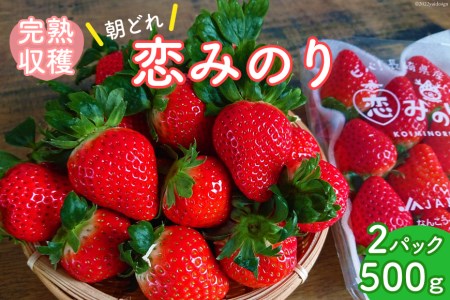 【期間限定発送】 いちご 恋みのり 2パック（500g以上） 2Lサイズ以上 シャインファームから直送 [吉岡青果 長崎県 雲仙市 item1500] イチゴ 苺 果物 くだもの フルーツ 数量限定 期間限定