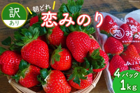 [期間限定発送]訳あり いちご 恋みのり 4パック(1kg以上) 朝どれ シャインファームから直送 数量限定 [吉岡青果 長崎県 雲仙市 item1498] イチゴ 苺 果物 フルーツ