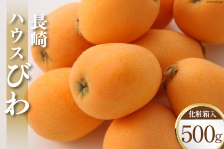 【期間限定発送】長崎ハウス びわ 500g 化粧箱入り [吉岡青果 長崎県 雲仙市 item1304] 果物 くだもの フルーツ 500グラム 熨斗対応 贈答用