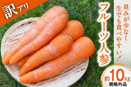 【島原半島育ち】 訳あり フルーツ人参 10kg [ フルーツにんじん 野菜 にんじん ニンジン 規格外 期間限定 ] / まるまさ / 長崎県 雲仙市 [item0887]