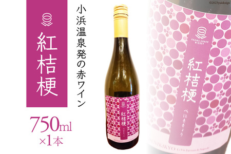 赤ワイン 小浜温泉発 紅桔梗 750ml×1本 [小浜温泉ワイナリー 長崎県 雲仙市 item1756] ワイン 赤 赤ワイン 国産 日本