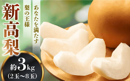 [2026年10月-発送][あなたを満たす梨の王様]新高梨 約3kg 特大級 梨専門 八木農園 / 梨 なし ナシ / 南島原市 / 贅沢宝庫 