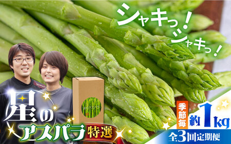 y3ցzỹAXpztEāEH  O[ AXpKX 1kg / AXp  / 쓇s / قYA [SEY013]