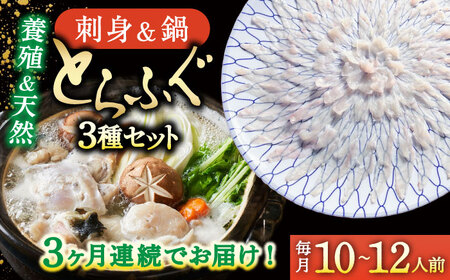 [2026年2月〜初回発送][3回定期便]南島原ふぐ三昧プレミアム 10人?12人前 / ふぐ フグ 河豚 トラフグ ふぐ刺し / 南島原市 / 大和庵 