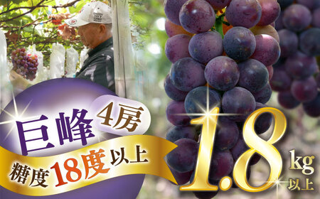 y2026N7{-zyʌzyx18xȏzԂǂ 4[ 1.8kgȏ / Ԃǂ uhE   ʕ t[c ӂ[ / 쓇s / ~iT|[SCW073]