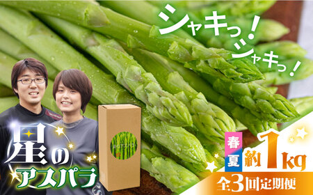 y3ցzỹAXpztE  O[ AXpKX 1kg / AXp  / 쓇s / قYA[SEY016]