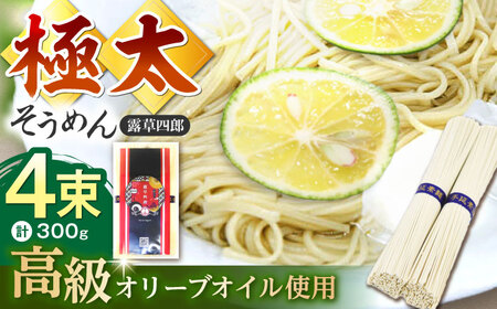 原城 極太そうめん 露草四朗 300g(75g×4束)/ そうめん 島原そうめん 手延べ 麺 素麺 / 南島原市 / 銀之霊泉