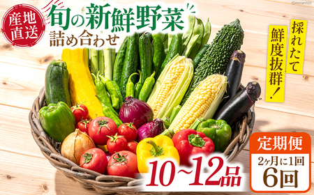 y6ցz21 {̐VN ؋lߍ킹Zbgi10i?12ij/   ₳  ؃Zbg ₳Zbg t Ė H ~ {VN / 쓇s /茧_Yi