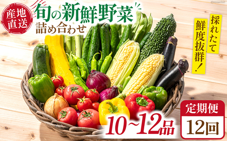 [12回定期便]毎月連続お届け 新鮮 「旬の野菜・フルーツ」 詰め合わせ セット(10品〜12品)/ 野菜 定期便 やさい セット やさい 春 夏野菜 秋 冬 旬新鮮 / 南島原市 /長崎県農産品流通合同会社