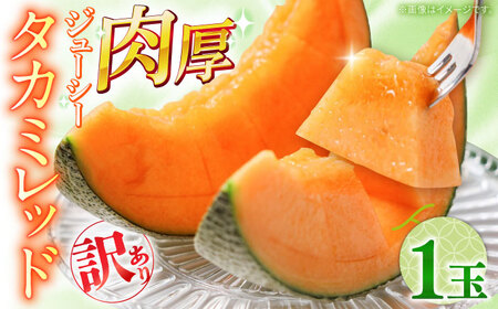 y2026N5?z󂠂 ^J~ bh 1 /  ߂ t[c ʕ / 쓇s / 쓇ʕ[SCV034]