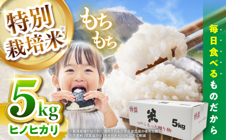 yߘa7NYVāzyʍ͔|āz qmqJ 5kg /    ͂  Ђ̂Ђ / 쓇s / _Ɩh@[SBN001]