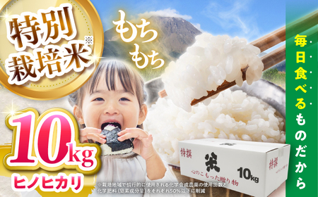 yߘa7NYVāzyʍ͔|āz qmqJ 10kg (5kg×2) /    ͂  Ђ̂Ђ / 쓇s / _Ɩh@[SBN002]