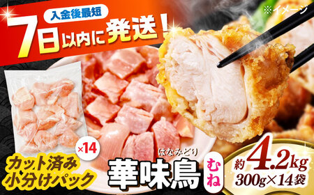 ؖ ނ˓ 4.2kgi300g×14܁j Jbgς 쓇Y /@{  Ƃ l {ނ˓ Ⓚ e / 쓇s / ГnuC[[SFS008]