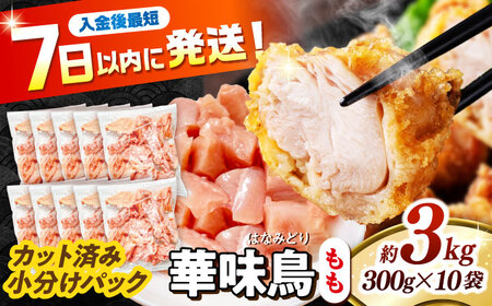 ؖ  3kgi300g×10܁j Jbgς 쓇Y /@{  Ƃ  { Ⓚ / 쓇s / ГnuC[[SFS011]