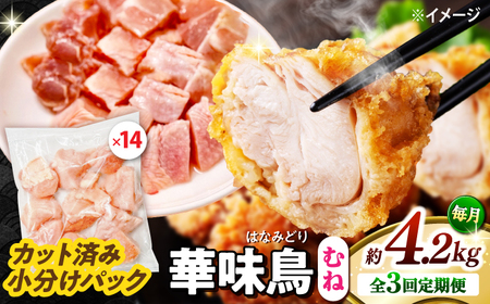 y3ցzؖ ނ˓ 4.2kgi300g×14܁j Jbgς 쓇Y /@{  Ƃ l {ނ˓ Ⓚ e / 쓇s / ГnuC[[SFS018]