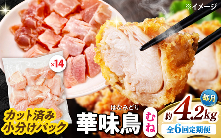 y6ցzؖ ނ˓ 4.2kgi300g×14܁j Jbgς 쓇Y /@{  Ƃ l {ނ˓ Ⓚ e / 쓇s / ГnuC[[SFS019]