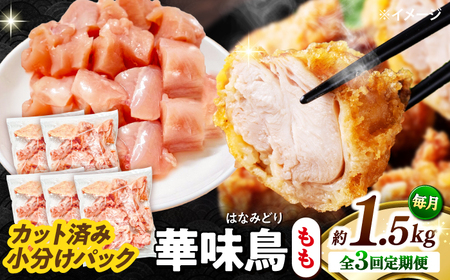 y3ցzؖ  1.5kgi300g×5܁j Jbgς 쓇Y /@{  Ƃ  { Ⓚ / 쓇s / ГnuC[[SFS021]