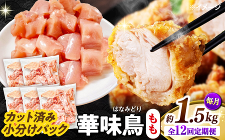 y12ցzؖ  1.5kgi300g×5܁j Jbgς 쓇Y /@{  Ƃ  { Ⓚ / 쓇s / ГnuC[[SFS023]