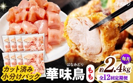 y12ցzؖ  2.4kgi300g×8܁j Jbgς 쓇Y /@{  Ƃ  { Ⓚ / 쓇s / ГnuC[[SFS026]